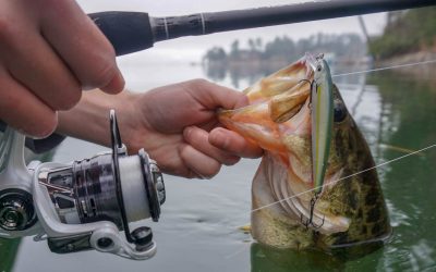 11 Things To Consider When Buying A Spinning Reel (Part 2)