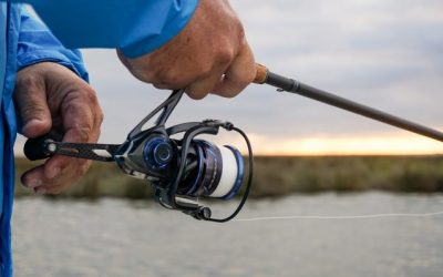 11 Things To Consider When Buying A Spinning Reel (Part 1)