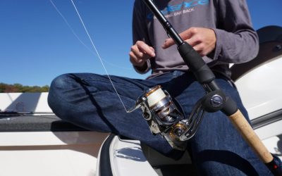 Bass Will Give Your Spinning Rod A Workout