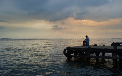 Grabbing Your Best Fishing Rods And Reels And Heading Out For A Day Is Healthy